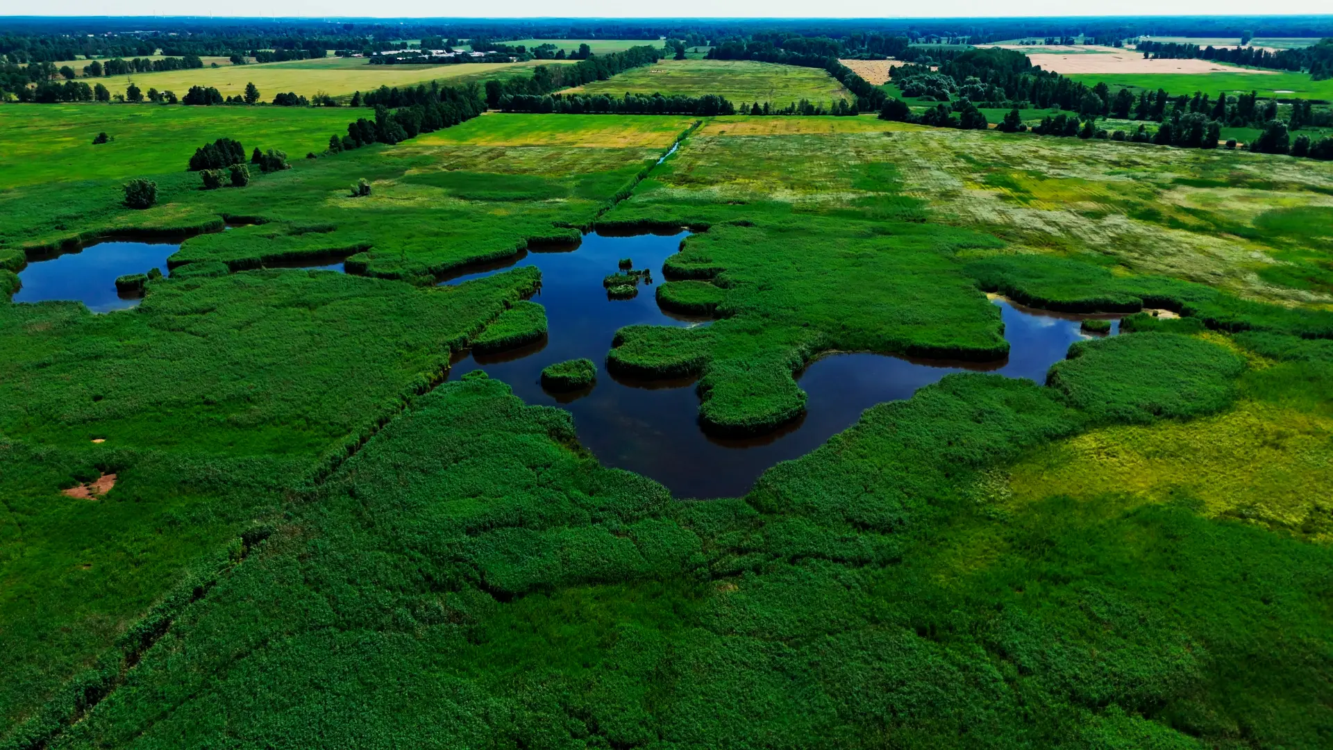 Aerial view of a wetland with open Water pools